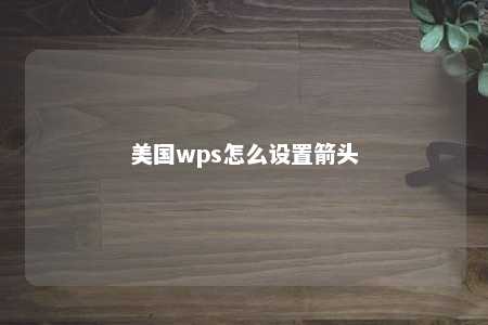 美国wps怎么设置箭头