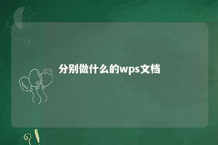 分别做什么的wps文档