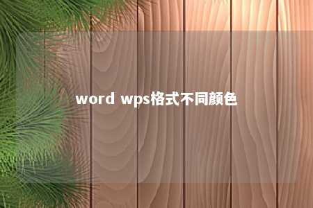 word wps格式不同颜色 