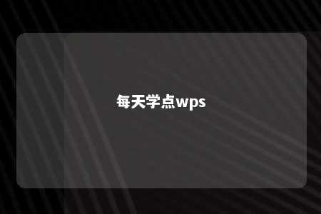 每天学点wps