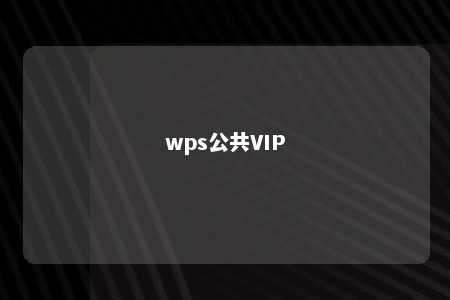 wps公共VIP 