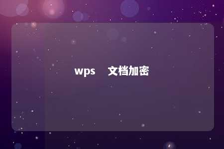 wps   文档加密