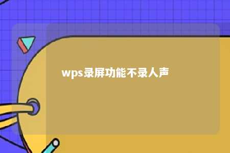 wps录屏功能不录人声