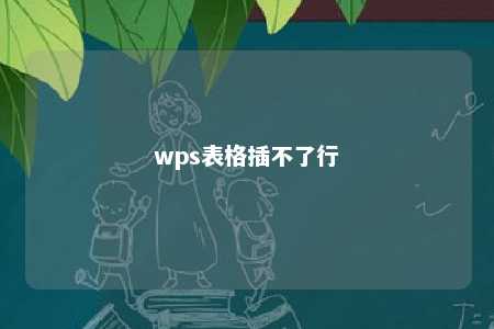 wps表格插不了行 