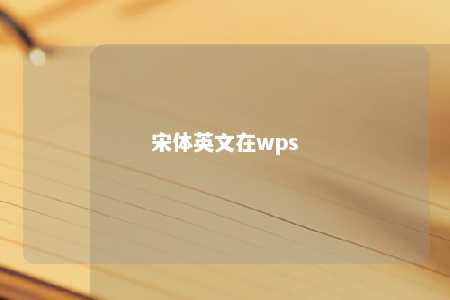 宋体英文在wps 