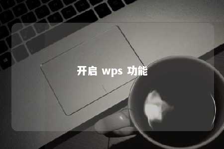 开启 wps 功能 