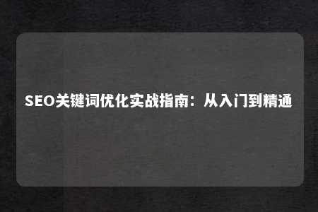 SEO关键词优化实战指南：从入门到精通 