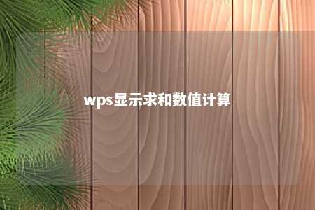 wps显示求和数值计算 