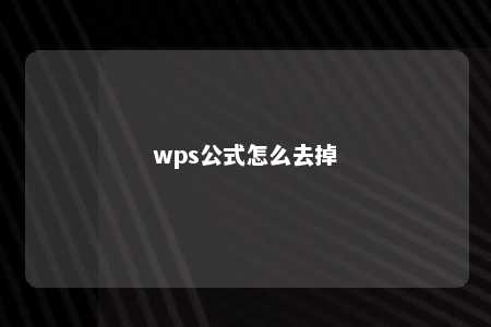 wps公式怎么去掉 