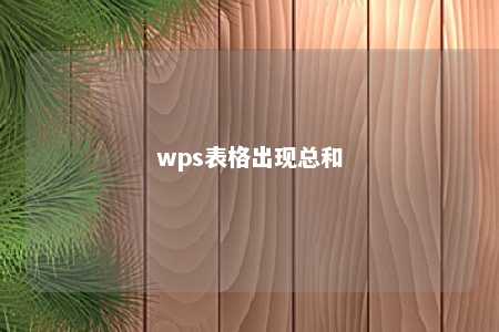 wps表格出现总和 