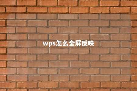 wps怎么全屏反映