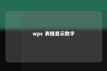 wps 表格显示数字 