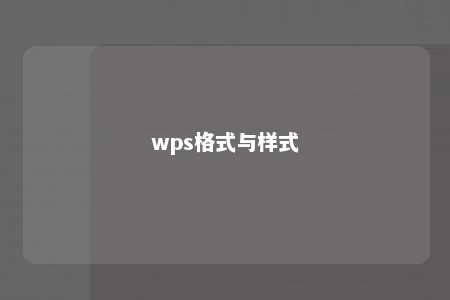 wps格式与样式