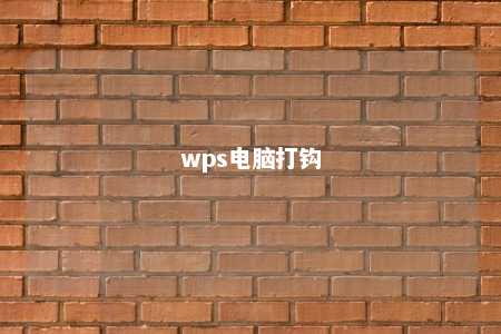 wps电脑打钩 