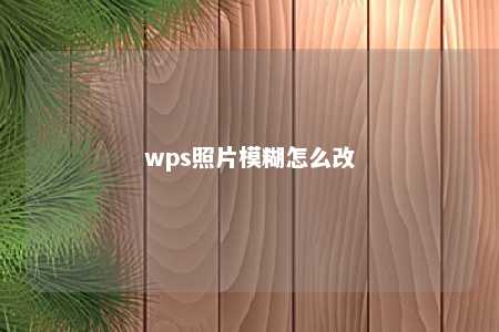 wps照片模糊怎么改