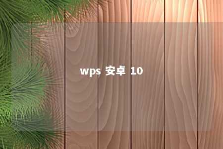 wps 安卓 10 