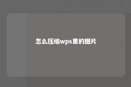 怎么压缩wps里的图片