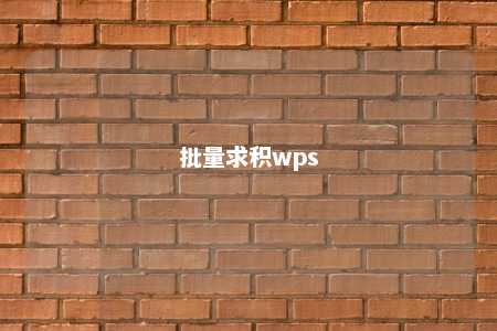 批量求积wps 