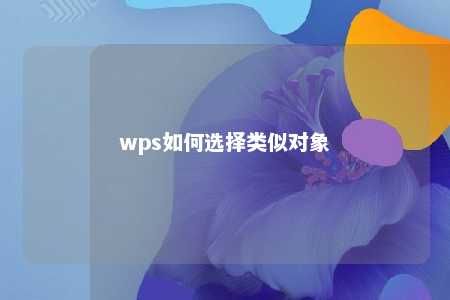 wps如何选择类似对象