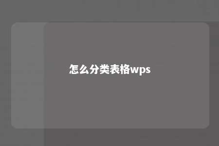 怎么分类表格wps 