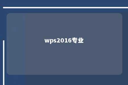 wps2016专业 