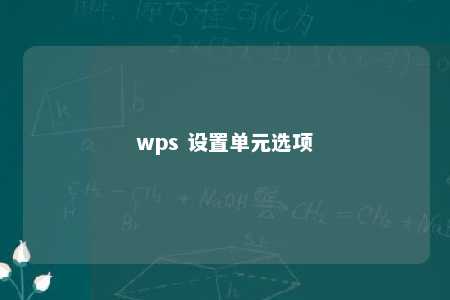 wps 设置单元选项