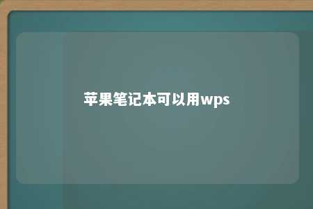 苹果笔记本可以用wps 