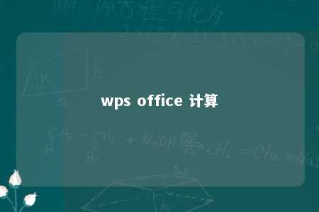 wps office 计算 