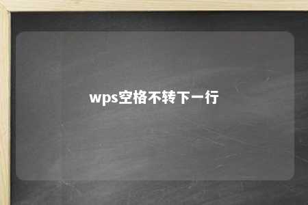 wps空格不转下一行