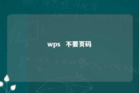 wps  不要页码