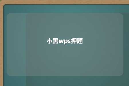 小黑wps押题