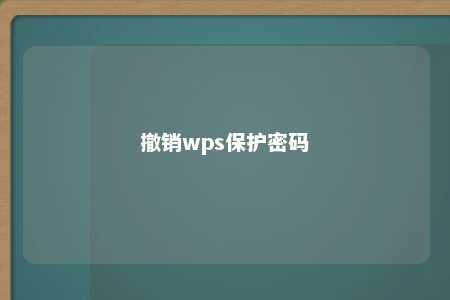 撤销wps保护密码 