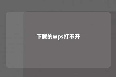 下载的wps打不开