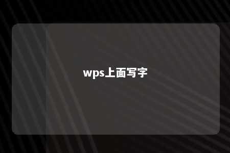 wps上面写字 