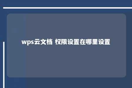 wps云文档 权限设置在哪里设置 