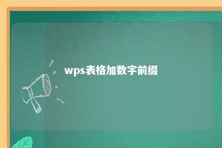 wps表格加数字前缀 