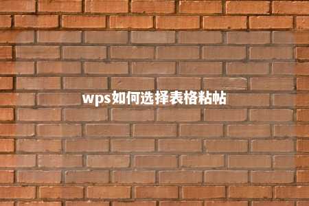 wps如何选择表格粘帖 