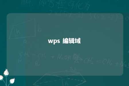 wps 编辑域 