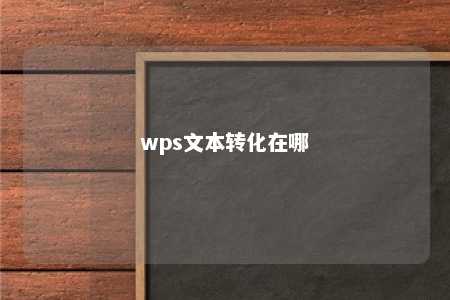 wps文本转化在哪 