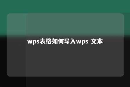 wps表格如何导入wps 文本 