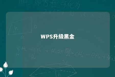 WPS升级黑金