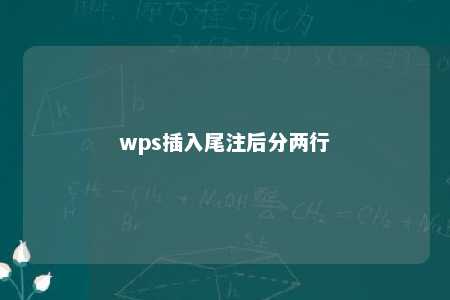 wps插入尾注后分两行 