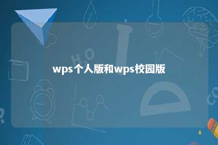 wps个人版和wps校园版 