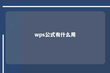 wps公式有什么用