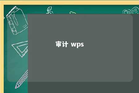 审计 wps 