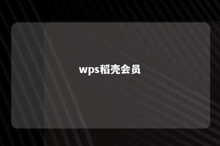 wps稻壳会员