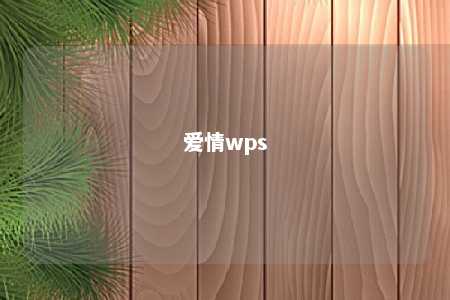 爱情wps 