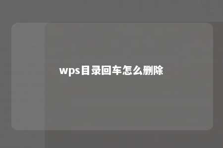 wps目录回车怎么删除