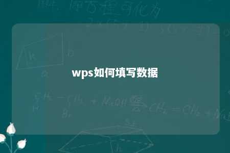 wps如何填写数据