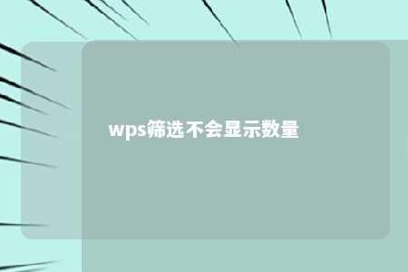 wps筛选不会显示数量 